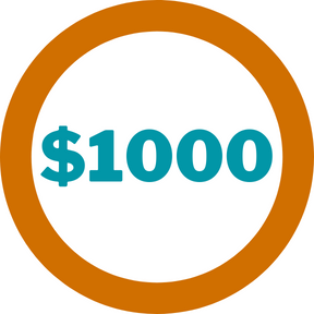 $1000 Per Case delivered to Accident Attorney