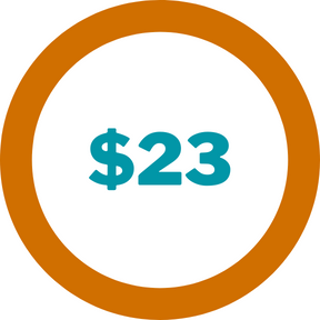 $23 Per Leads for Psychotherapist Client using Google Ads